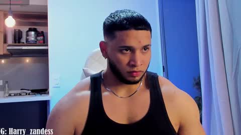 Harry Zandes online show from 13, 2, 2025