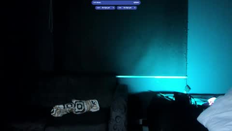 Snapshot of harrydavidsonx chatting on 9, 11, 2025 ... online show from 9, 11, 2025