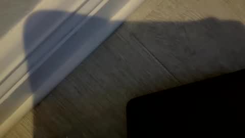 Snapshot of haufd chatting on 19, 1, 2026 haufd online show from 19, 1, 2026