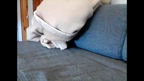 Snapshot of havier282874 chatting on 22, 5, 2026 havier282874 online show from 22, 5, 2026