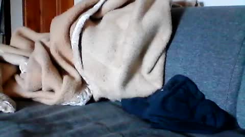Snapshot of havier282874 chatting on 17, 6, 2026 havier282874 online show from 17, 6, 2026