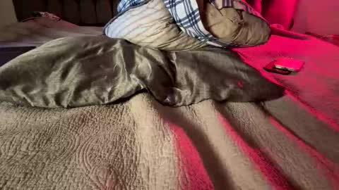 Amber  -   or vip  online show from 14, 2, 2026