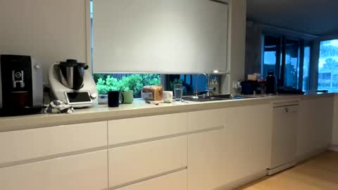 h babe online show from 14, 12, 2024