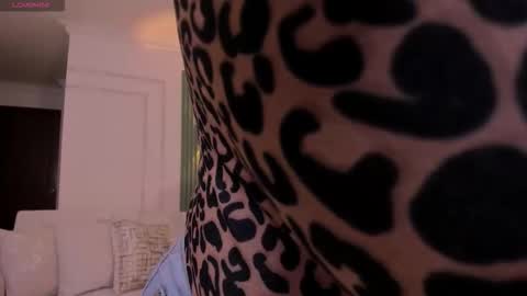 Heidy online show from 21, 2, 2026