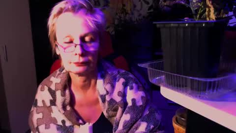 Helga online show from 29, 5, 2026