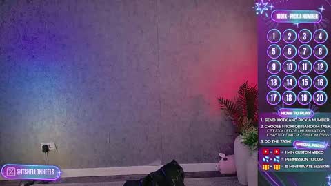 - show loyalty and subscribe -  online show from 17, 11, 2025