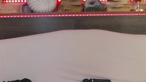    online show from 22, 2, 2025