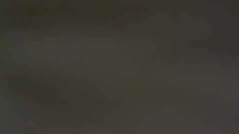 Snapshot of hellohowareyou66 chatting on 13, 2, 2025 hellohowareyou66 online show from 13, 2, 2025