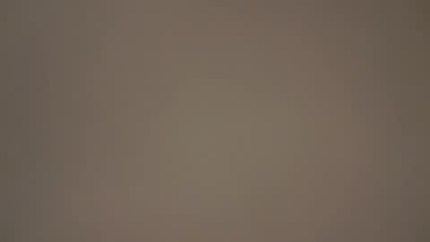 Snapshot of hellohowareyou66 chatting on 5, 3, 2025 hellohowareyou66 online show from 5, 3, 2025