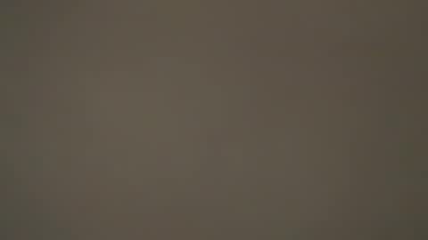 hellohowareyou66 online show from 31, 3, 2026