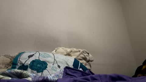 hellokitten123 online show from 28, 1, 2025