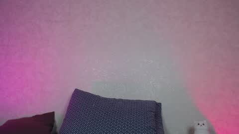 Snapshot of hesssa chatting on 28, 12, 2024 Hesssa Prime time The broadcasts start at 3am and 3 pm London time online show from 28, 12, 2024