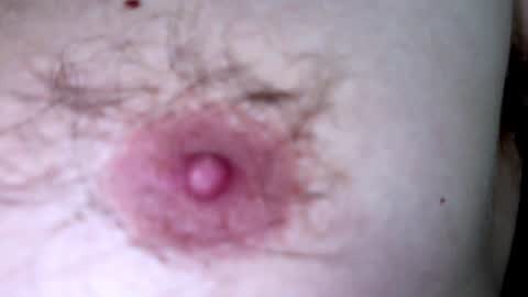 Arnold online show from 7, 12, 2024