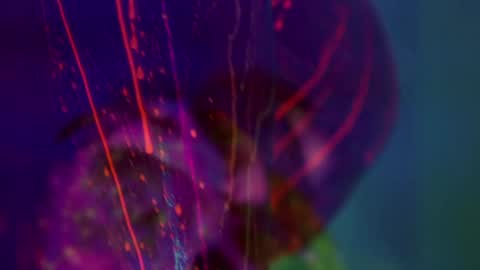 Snapshot of heybanan chatting on 14, 1, 2026 Alina online show from 14, 1, 2026