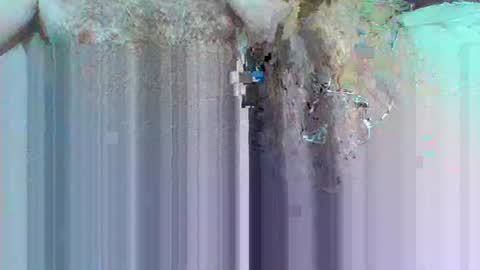 Snapshot of hi_to_you chatting on 3, 6, 2026 hi_to_you online show from 3, 6, 2026
