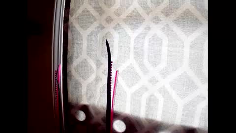 Highnesscali37 online show from 7, 12, 2024