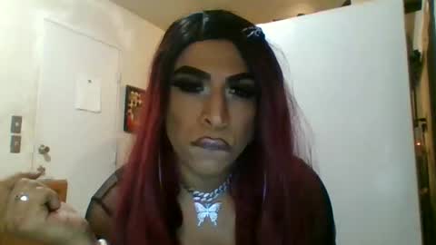 hihheelstranny online show from 12, 4, 2026