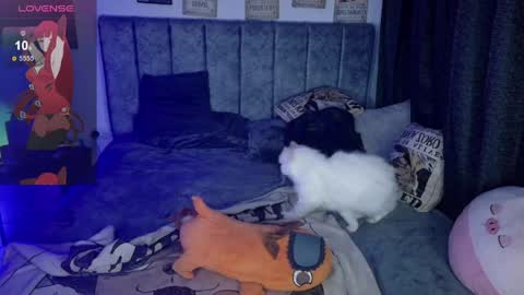 Inori Independent model online show from 4, 4, 2026