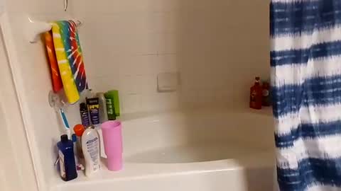 hippydippychick online show from 13, 11, 2025