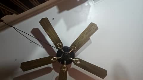 hoglegg99384194 online show from 13, 1, 2025