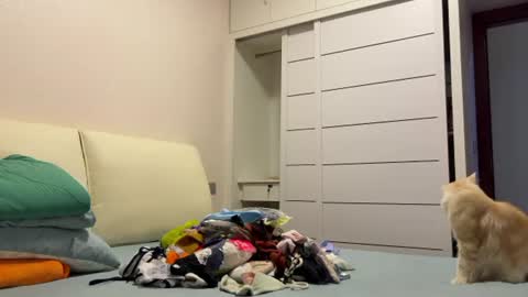 Snapshot of hola_sunflower chatting on 14, 6, 2026 amy online show from 14, 6, 2026