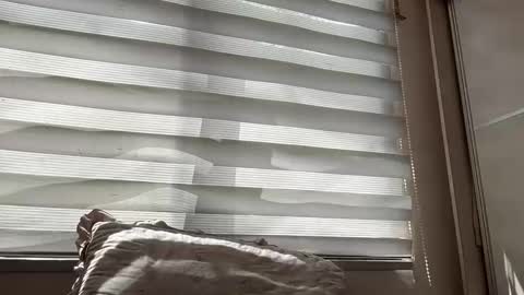 holly_wyn online show from 14, 3, 2026