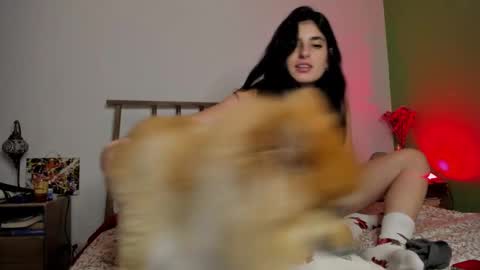 hollyshit_ online show from 24, 12, 2024