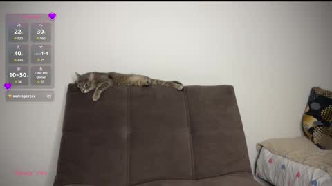 Snapshot of holybabe342 chatting on 1, 3, 2025 Vio online show from 1, 3, 2025