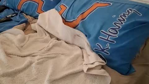 Snapshot of homer1976 chatting on 6, 3, 2025 Homer online show from 6, 3, 2025