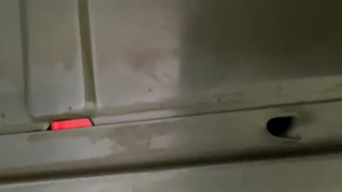 Snapshot of hondodeasy chatting on 25, 2, 2026 hondodeasy online show from 25, 2, 2026