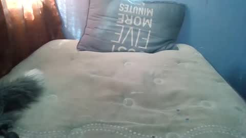 Honeybut72 online show from 19, 9, 2025