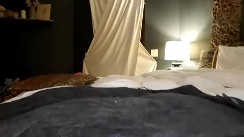 Honey online show from 17, 10, 2025