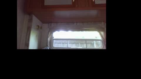 joey online show from 18, 4, 2026