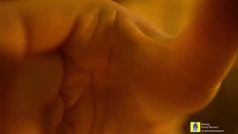 Horney Jozy online show from 7, 11, 2025