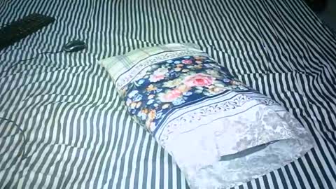 AMANI online show from 15, 1, 2025