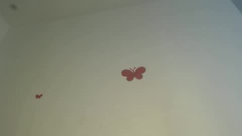 Iris online show from 3, 4, 2026