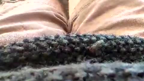 Snapshot of hornyallthetime6969696969 chatting on 18, 1, 2026 Tiny cock online show from 18, 1, 2026