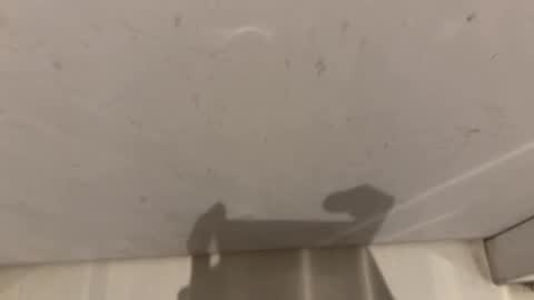 Snapshot of hornybear420420420 chatting on 2, 3, 2026 hornybear420420420 online show from 2, 3, 2026