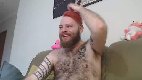 Snapshot of hornyhairy_bi chatting on 3, 12, 2024 Harry online show from 3, 12, 2024