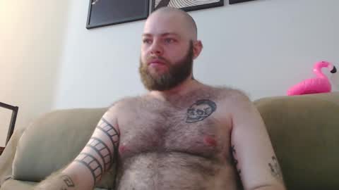 Snapshot of hornyhairy_bi chatting on 23, 10, 2025 Harry online show from 23, 10, 2025