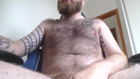 Snapshot of hornyhairy_bi chatting on 22, 2, 2026 Harry online show from 22, 2, 2026
