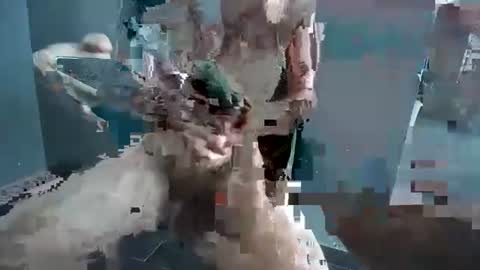 Hornyrippa online show from 22, 12, 2024