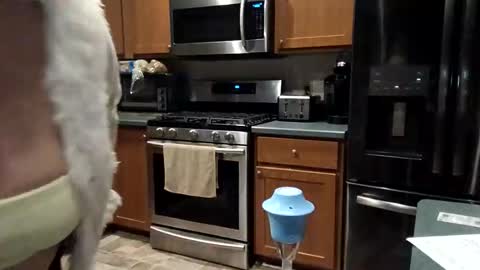 hotboobs117 online show from 28, 4, 2026