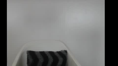 hotjessie0 online show from 18, 2, 2026