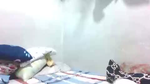 Snapshot of hotlavender chatting on 27, 1, 2025 hotlavender online show from 27, 1, 2025