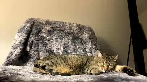 hottiewithabody101 online show from 17, 4, 2026