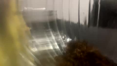 howarudoing online show from 5, 10, 2025