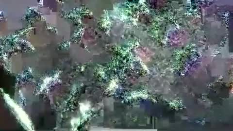 hp58649blabla online show from 17, 9, 2025