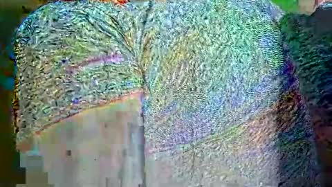 hp58649blabla online show from 25, 9, 2025