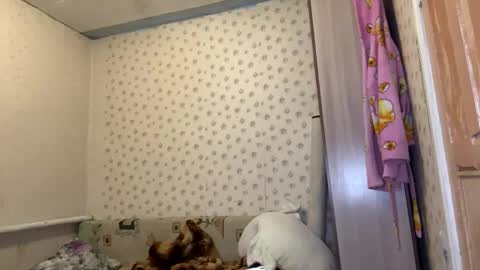 hsiuscherich online show from 12, 1, 2026